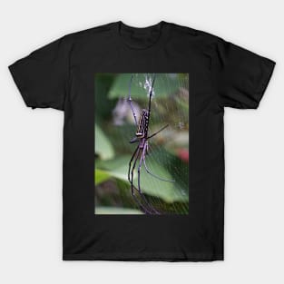 spider T-Shirt